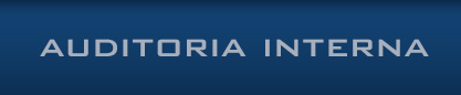 Auditoria Interna